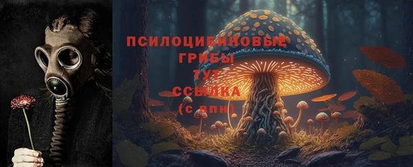 трава Абаза