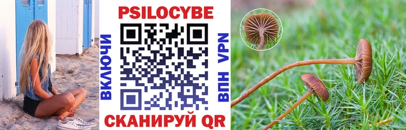 Псилоцибиновые грибы мицелий  Серафимович 